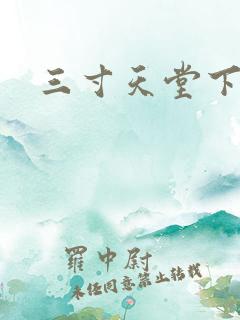 三寸天堂下载