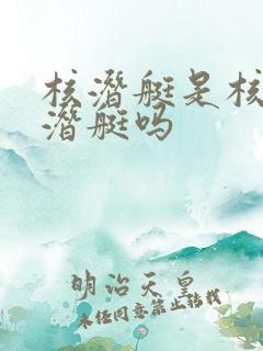 核潜艇是核动力潜艇吗