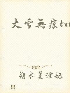 大雪无痕txt