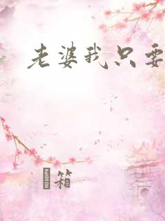 老婆我只要你