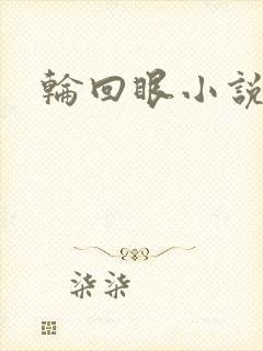 轮回眼小说