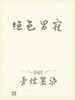 绝色男宠