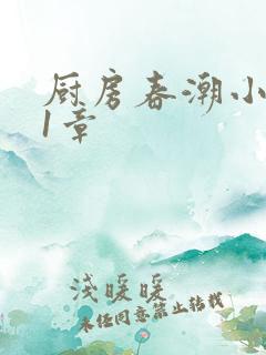 厨房春潮小说第1章