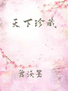 天下珍藏