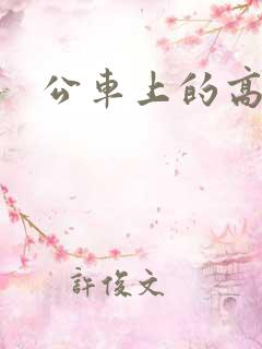 公车上的高辣h