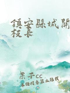 镇安县城关小学校长
