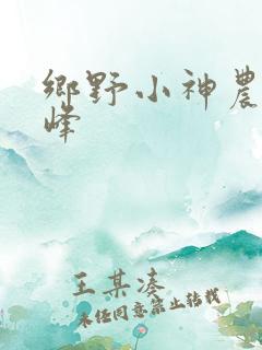 乡野小神农沈小峰