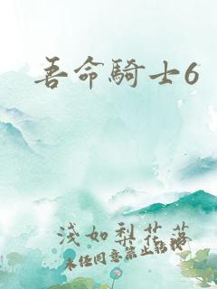 吾命骑士6