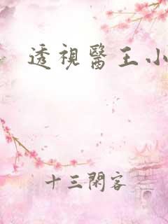 透视医王小妖