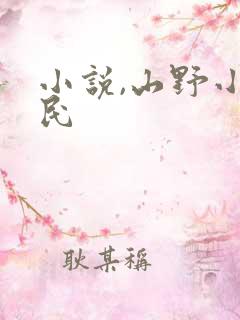小说,山野小农民