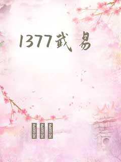 1377武易