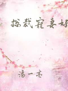 总裁宠妻好欢喜