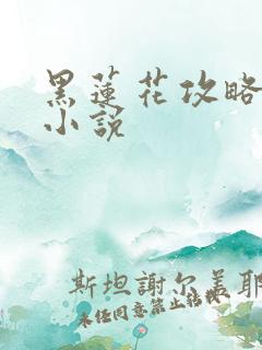 黑莲花攻略手册小说