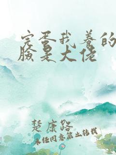 完蛋我养的小白脸是大佬