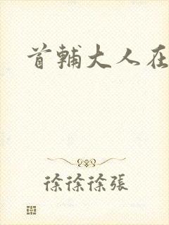 首辅大人在上