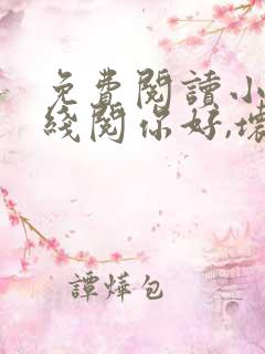 免费阅读小说在线阅你好,坏先生