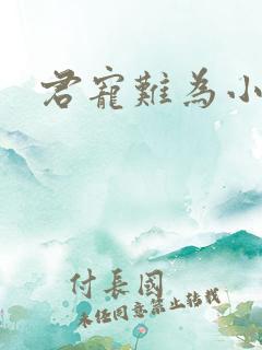 君宠难为小说