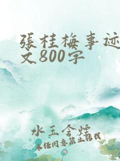 张桂梅事迹议论文800字