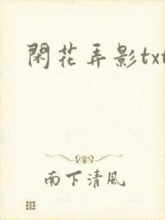 闲花弄影txt