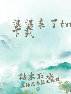 婆婆来了txt下载