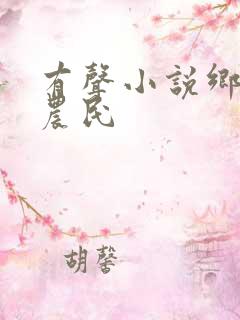 有声小说乡村小农民