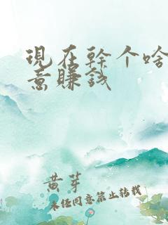 现在干个啥小生意赚钱