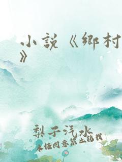 小说《乡村美妇》