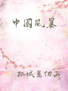 中国风暴