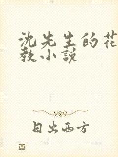 沈先生的花式调教小说