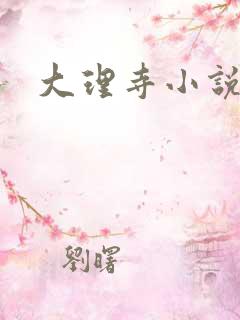 大理寺小说