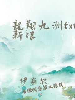 龙翔九洲txt新浪