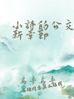 小诗的公交车最新章节