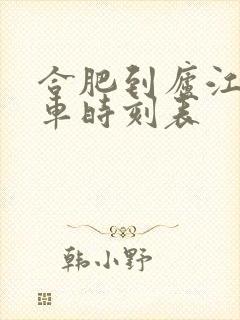 合肥到庐江公交车时刻表