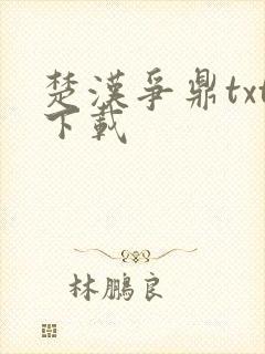 楚汉争鼎txt下载