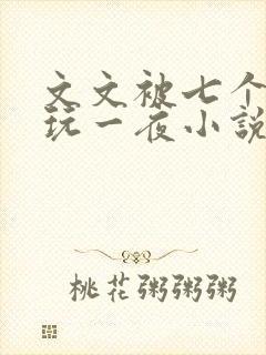 文文被七个男人玩一夜小说