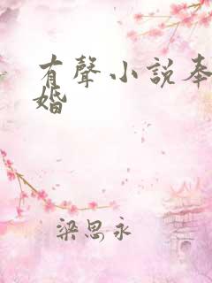 有声小说奉子成婚
