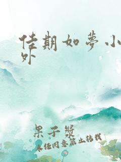 佳期如梦小说番外