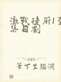 激战后厨1至5集日剧