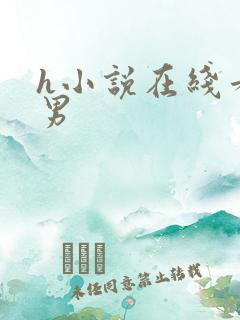 h小说在线看男男