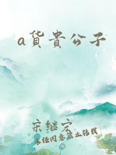 a货贵公子