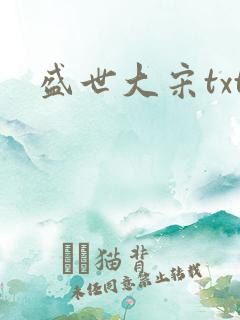 盛世大宋txt