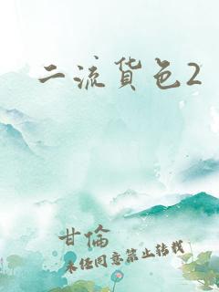 二流货色2