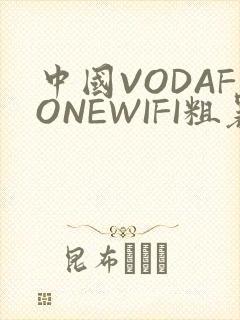 中国VODAFONEWIFI粗暴APP