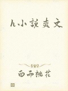 h小说爽文