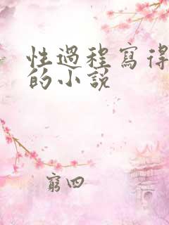 性过程写得详细的小说