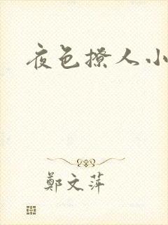 夜色撩人小说