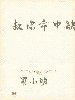 叔你命中缺我