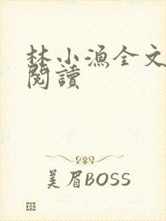 林小渔全文免费阅读