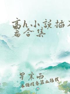高h小说插入短篇合集