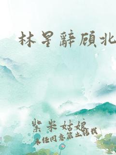 林星辞顾北彦